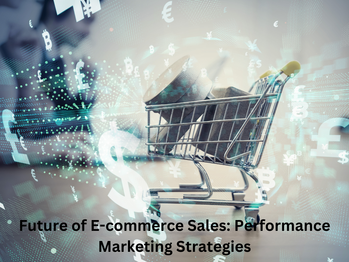 Future of E-commerce Sales Performance Marketing Strategies