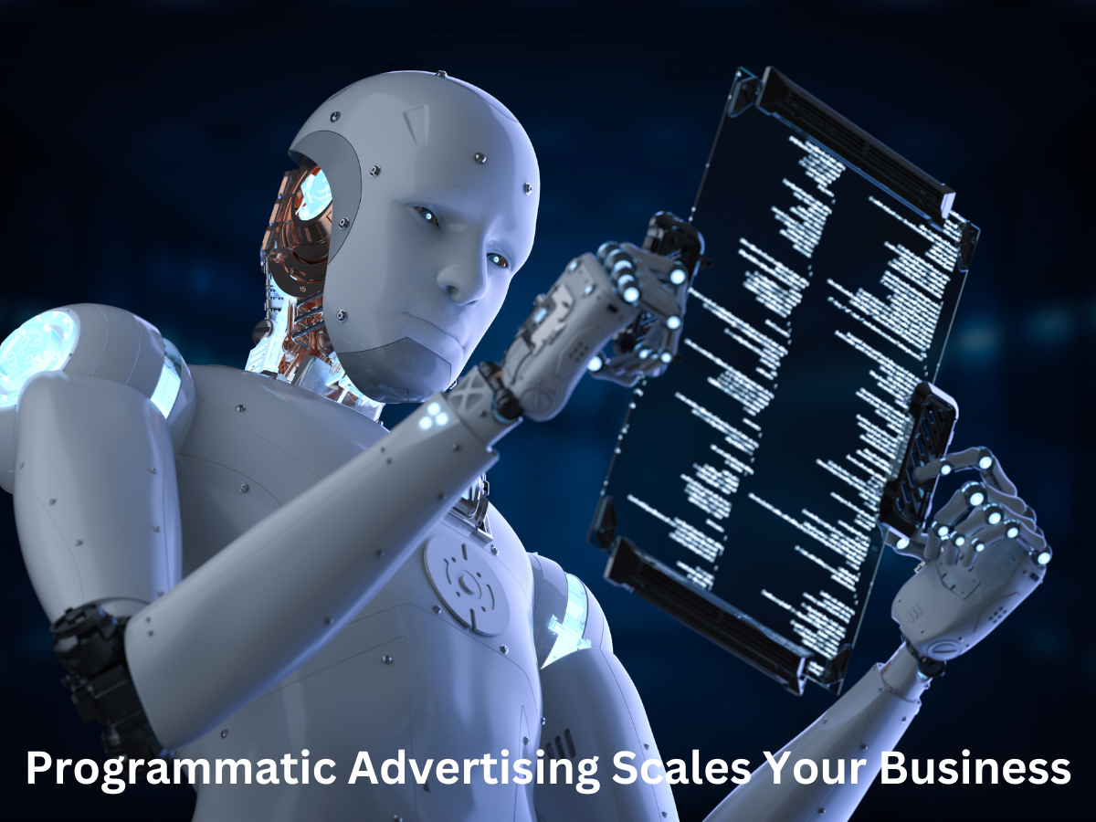 Programmatic Advertising Scales Your Business